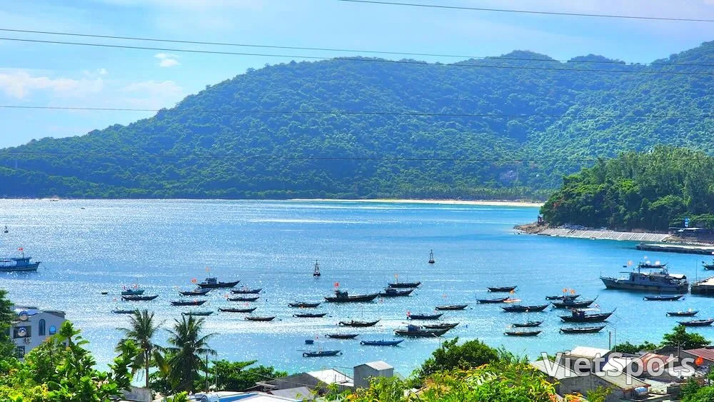 Từ Đà Nẵng: Tour Cù Lao Chàm lặn ngắm san hô trong ngày (kèm ăn trưa)