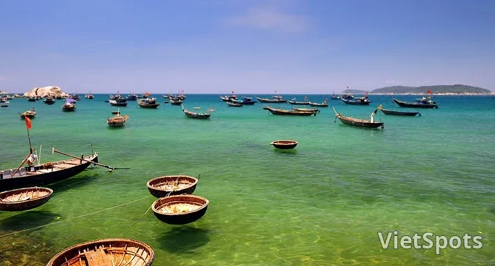 Từ Đà Nẵng: Tour Cù Lao Chàm lặn ngắm san hô trong ngày (kèm ăn trưa)