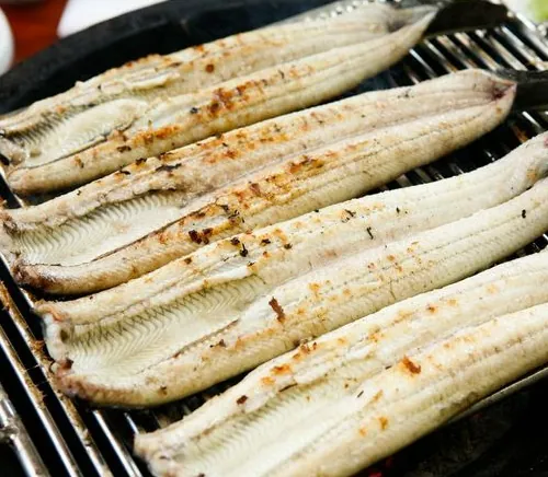 bạch tuột sasimi