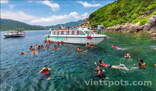[ưu đãi độc quyền] từ đà nẵng & hội an: tour lặn ngắm san hô cù lao chàm